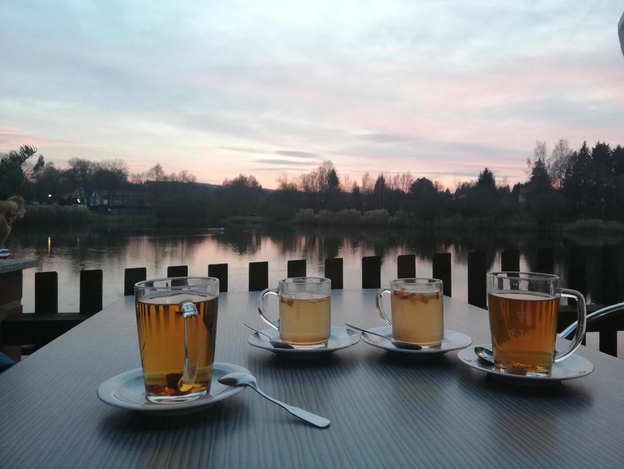 Landhotel Waldschlößchen Sohland an der Spree Exterior foto